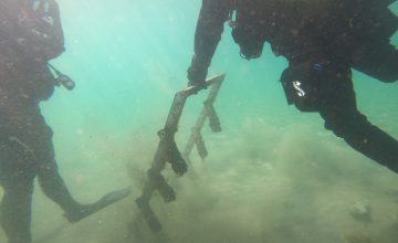 НЦ „Амфора“ реализираше акција за чистење на дното на езерото од Сараиште до Пристаниште