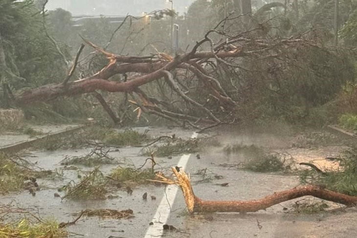 СИЛНА БУРА ГИ ПОГОДИ ХРВАТСКА И СЛОВЕНИЈА: Има повредени, уништена инфраструктура и прекини во сообраќајот