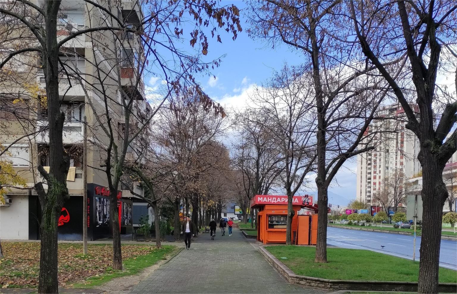 Жена и дете загинаа во Карпош, сведоци велат дека институциите не ја заштитиле мајката