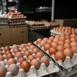 „Запиши ме за 50 јајца“ – резервации за Велигден почнаа уште од сега