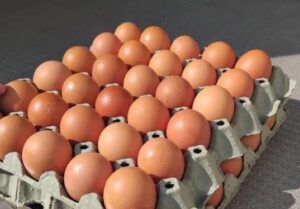 АХВ со засилени контроли во пресрет на велигденските празници