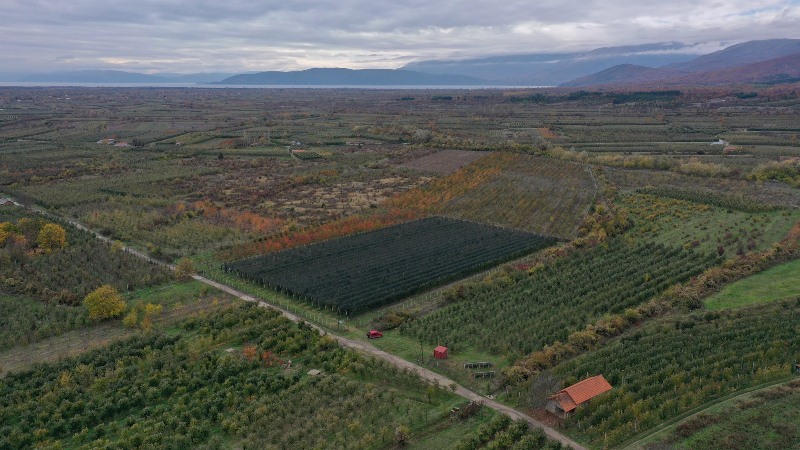 Светски ден на метеорологијата: македонското земјоделство веќе ја живее климатската криза