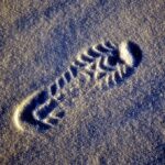 Подарокот (8)