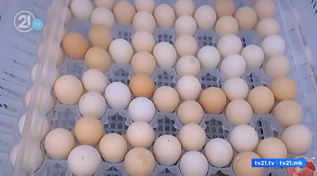 На Табановце запленети 40 тони необележани јајца од Србија – требало да се пласираат како македонски, завршија на „Дрисла“