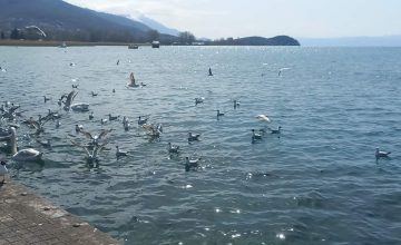 Променливо облачно со сончеви периоди