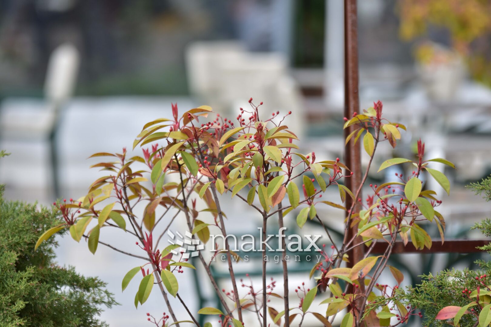 Сончево со мала до умерена локална облачност, температурата до 20 степени