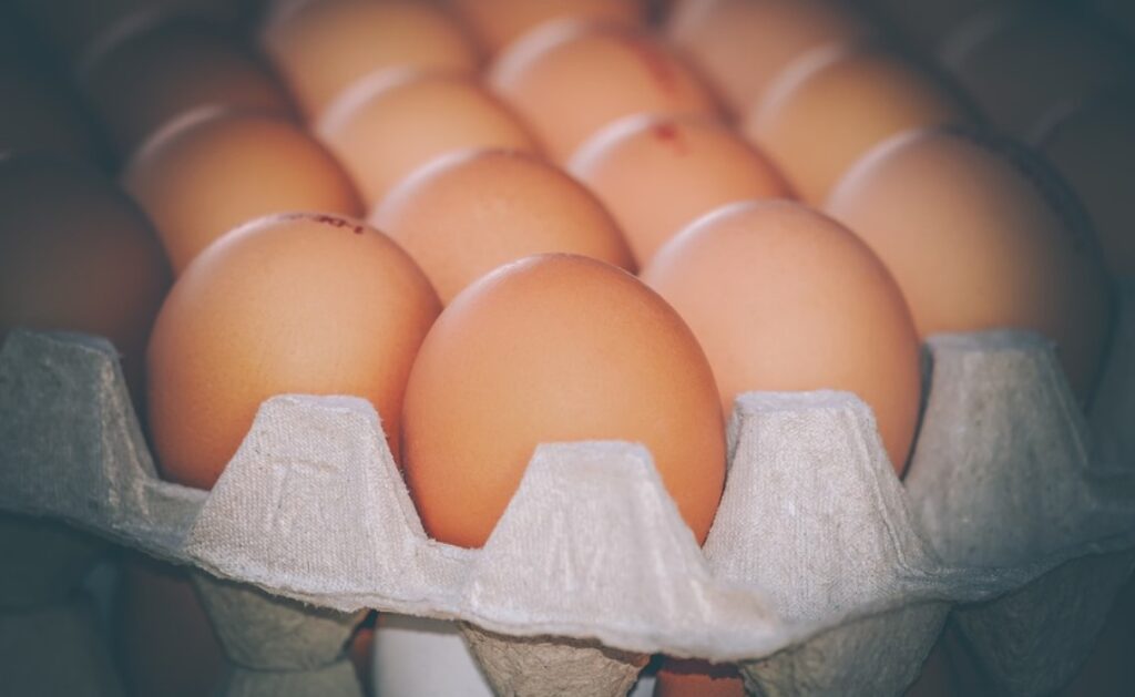 40 тони јајца уништени на Дрисла!