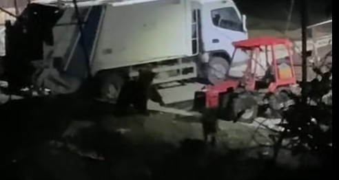 ВИДЕО: Мечка се симна на паркингот во Ростуше