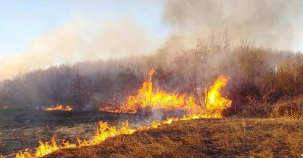 Лишено од слобода лице од Чашка, запалил стрниште и предизвикал пожар