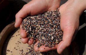 Нова агрокриза: Цените на ѓубривата во вртоглав раст