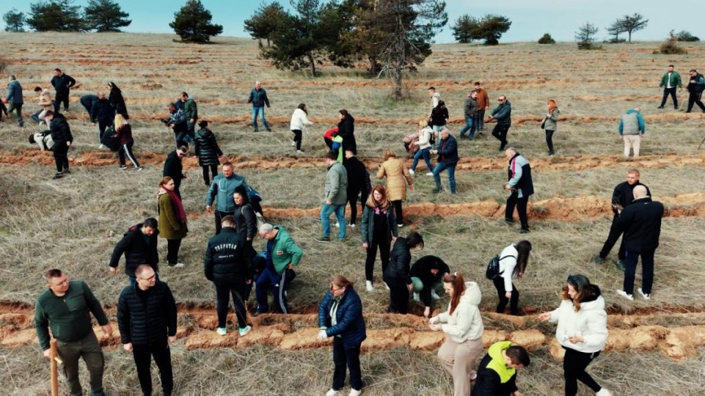 ЗАСАДЕНИ 6.000 САДНИЦИ НА ДАБ