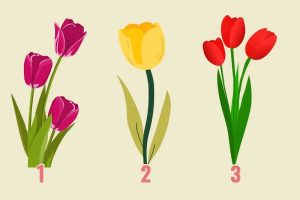 Изберете лале, а тоа ќе ви каже какви сте: Дали сте нежен сонувач или бестрашен лидер?