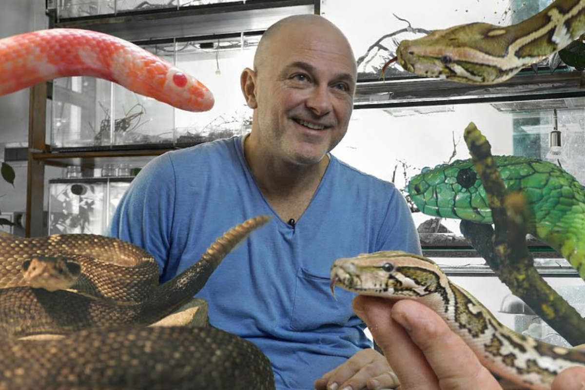 Невен од Загреб живее со 150 змии, двапати го каснала отровна — противотров нема