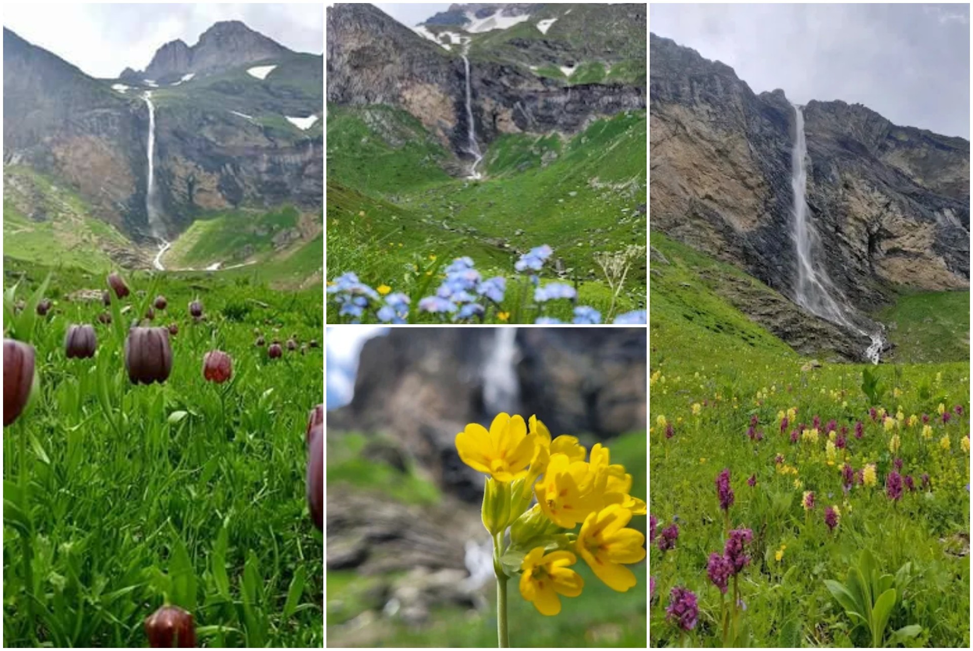 Таму каде што цветаат диви лалиња: Македонија каква што не сте ја виделе