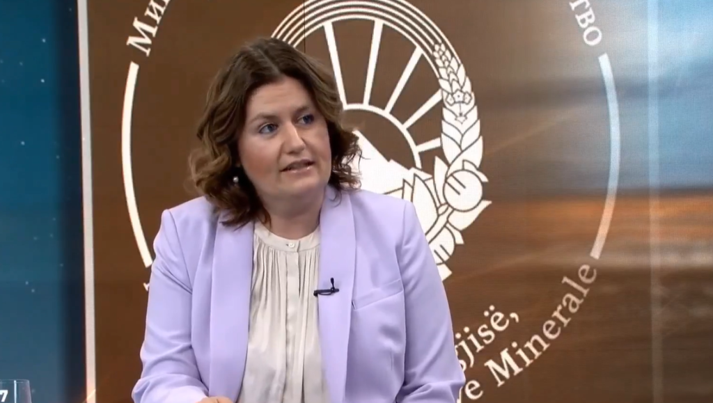 Во земјата има доволно деривати – вели министерката за енергетика