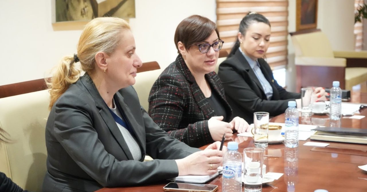 Димитриеска-Кочоска за енергенсите: Доколку има потреба Владата ќе интервенира