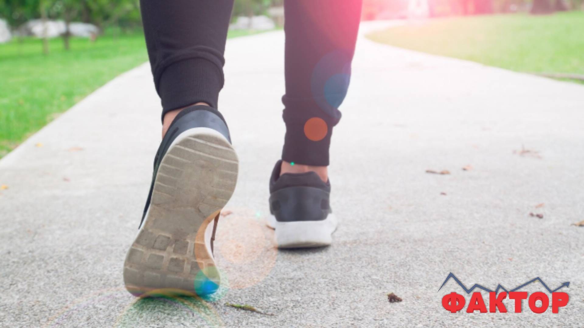 ДЕЛ ОД ЕВРОПЕЈЦИТЕ ДНЕВНО ПЕШ ПОМИНУВААТ НАД 6.000 ЧЕКОРИ: Дали Македонците се движат доволно?