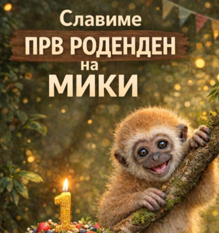 Скопската Зоолошка организира прослава за првиот роденден на гибонот Мики