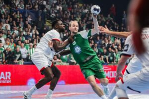 Проблеми за Пелистер: Тајник денеска итно опериран