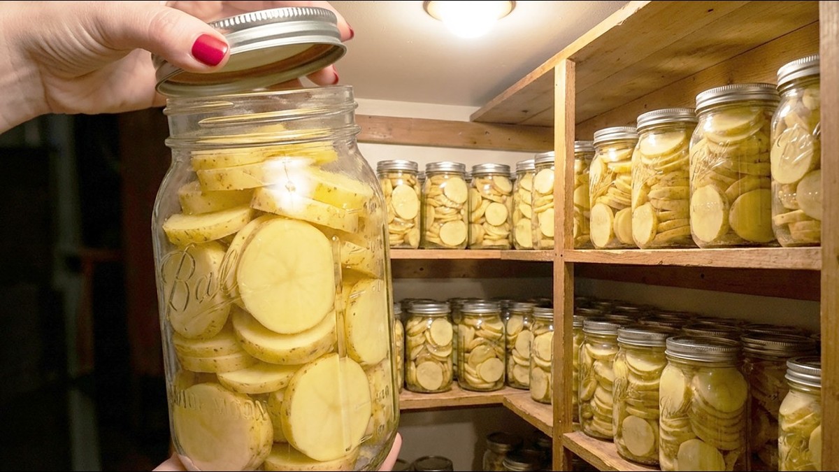 Како да конзервирате компири во тегла што не се расипуваат и до 5 години, без хемикалии и без фрижидер