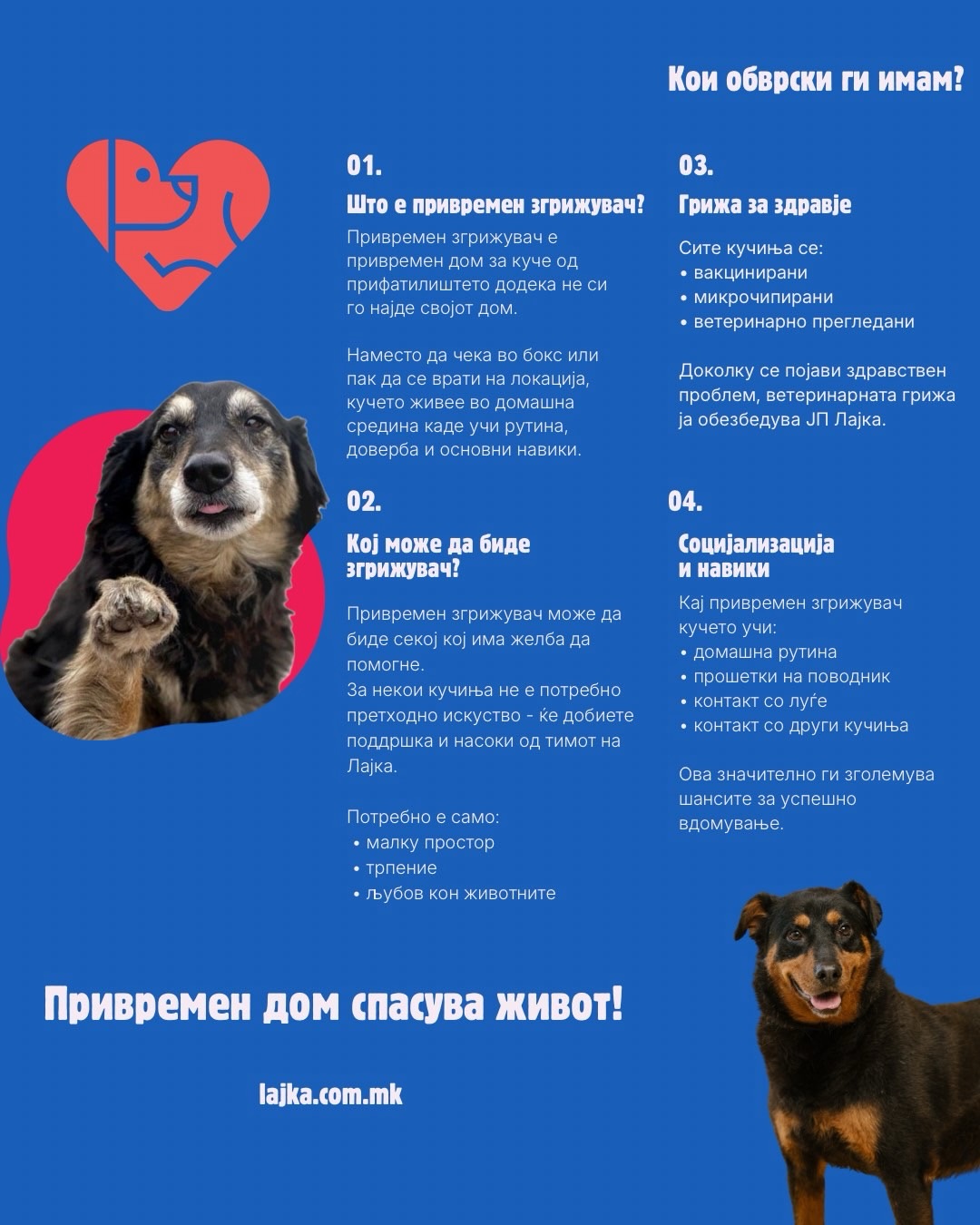 ЈП Лајка ја промовира иницијативата за привремено згрижување на бездомни кучиња