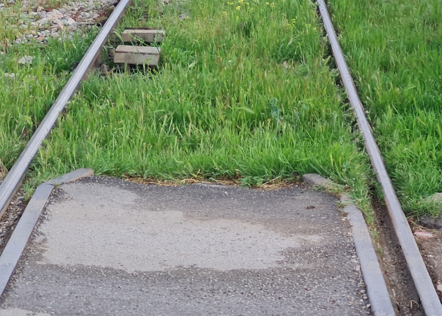 Русија и Кина ја обновија железничката линија по прекин од шест години