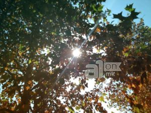 Сончево и температури до 21 степен