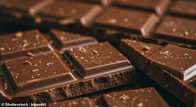 3Д печатено чоколадо и паштета од гускини влакна одгледувани во лабораторија… тоа е иднината на храната