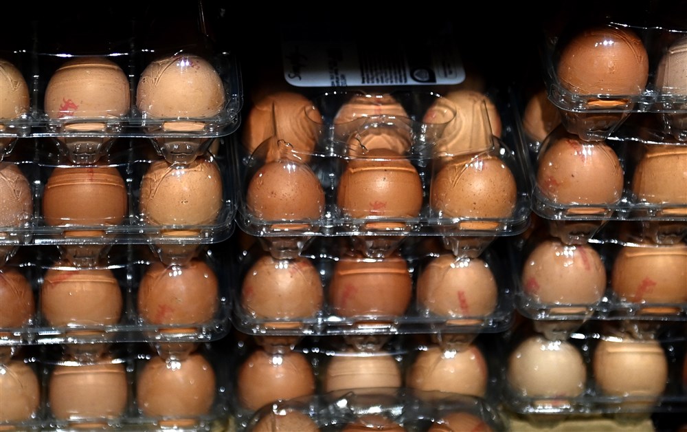 АХВ со засилени контроли во пресрет на велигденските празници