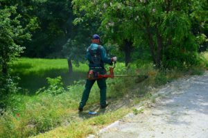 Облачно со дожд и заладување до петок, на планините снег