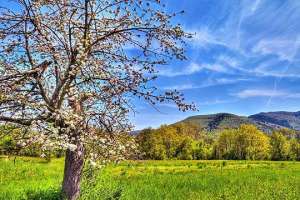 Почнува пролетта