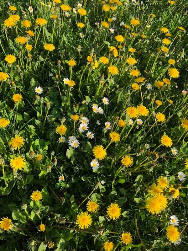 Летното сметање на времето започнува во недела