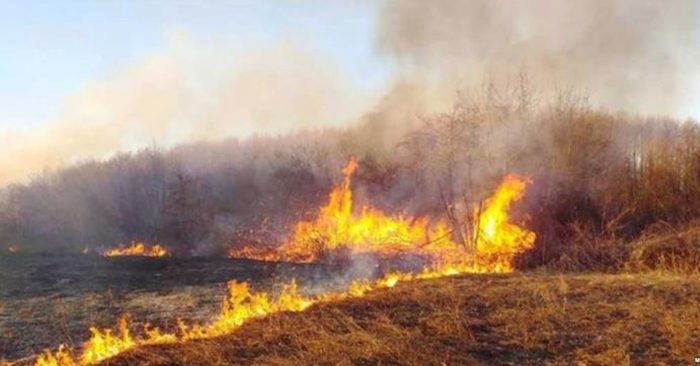 Пожар во близина на Солун – затворен автопат кон Атина и во двата правци