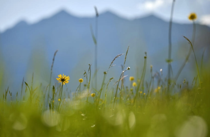 Утрово најтопло во Скопје и Велес, најстудено на Попова Шапка и во Берово