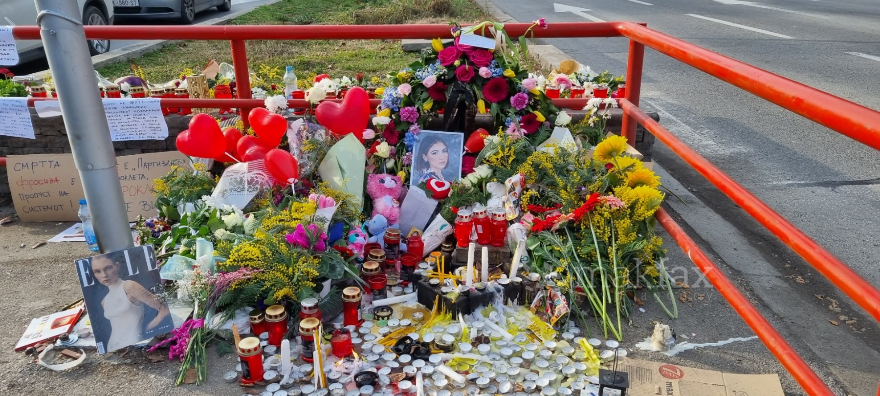 Врховниот суд го одби барањето, возачот кој ја прегази Фросина на „Партизанска“ ќе остане во затвор 13 години