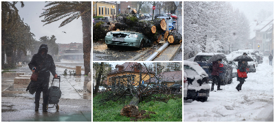 „Апокалипса“ во Хрватска по врнежите од снег и силниот ветар – откорнати дрвја, затворени училишта (фото+видео)