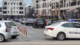 Институциите на системот потфрлија и имаат голем уддел во смртта на мајката и ќерката во Карпош