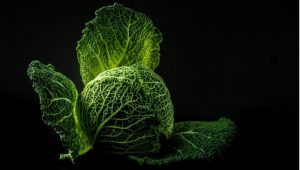 ОВИЕ НАМИРНИЦИ СЕ БОГАТИ СО КАЛЦИУМ а не се млечни производи