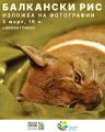 Изложбата фотографии посветена на балканскиот рис пристига во Скопје
