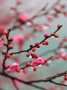 Пред нас е врнежлива седмица