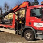 Битола речиси една година e без пајак служба