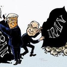 Во земјава сите полудеа