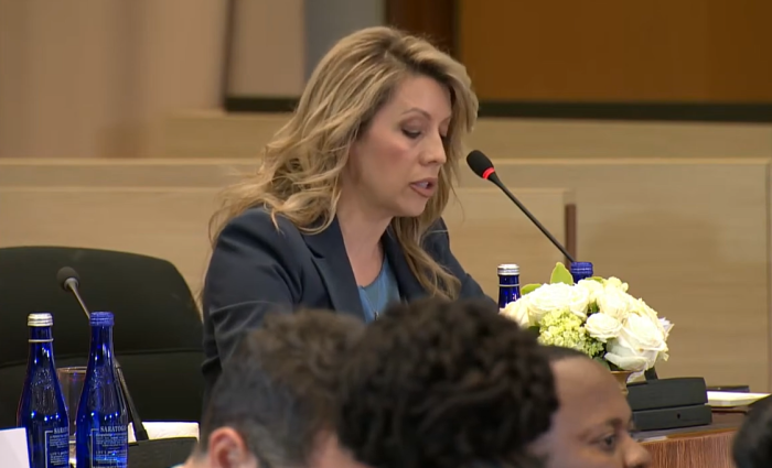 РОЗИ  МИЦКОСКА НА САМИТОТ ВО САД: Во одговорен и достапен начин во нашата земја, веруваме дека дигиталната писменост мора да започне од најрана возраст