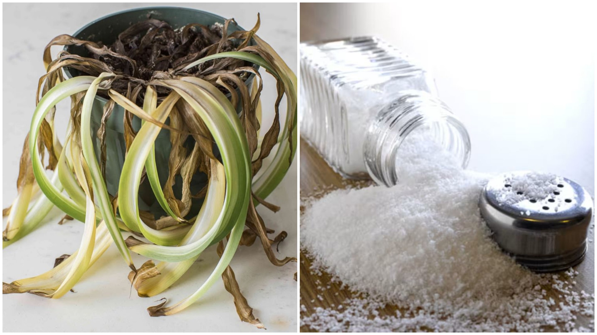 10 украински суеверија што предупредуваат на несреќа во домот – Сте ги слушнале ли и кај нас?