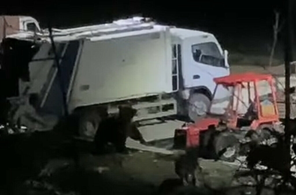 Мечка забележана на паркинг во Ростуше, жителите исплашени