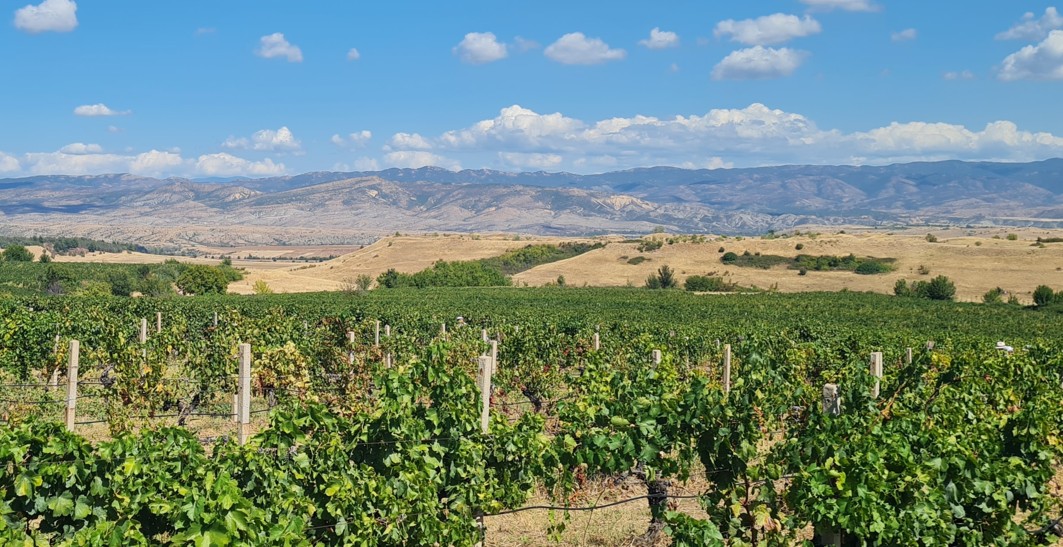 ПРЕДЛОГ ЗА УКИНУВАЊЕ НА МИНИМАЛНАТА ПЛАТА ЗА СЕЗОНСКИ РАБОТНИЦИ ВО ГЕРМАНИЈА, минималната плата годинава се искачи на 13,90 евра за еден час