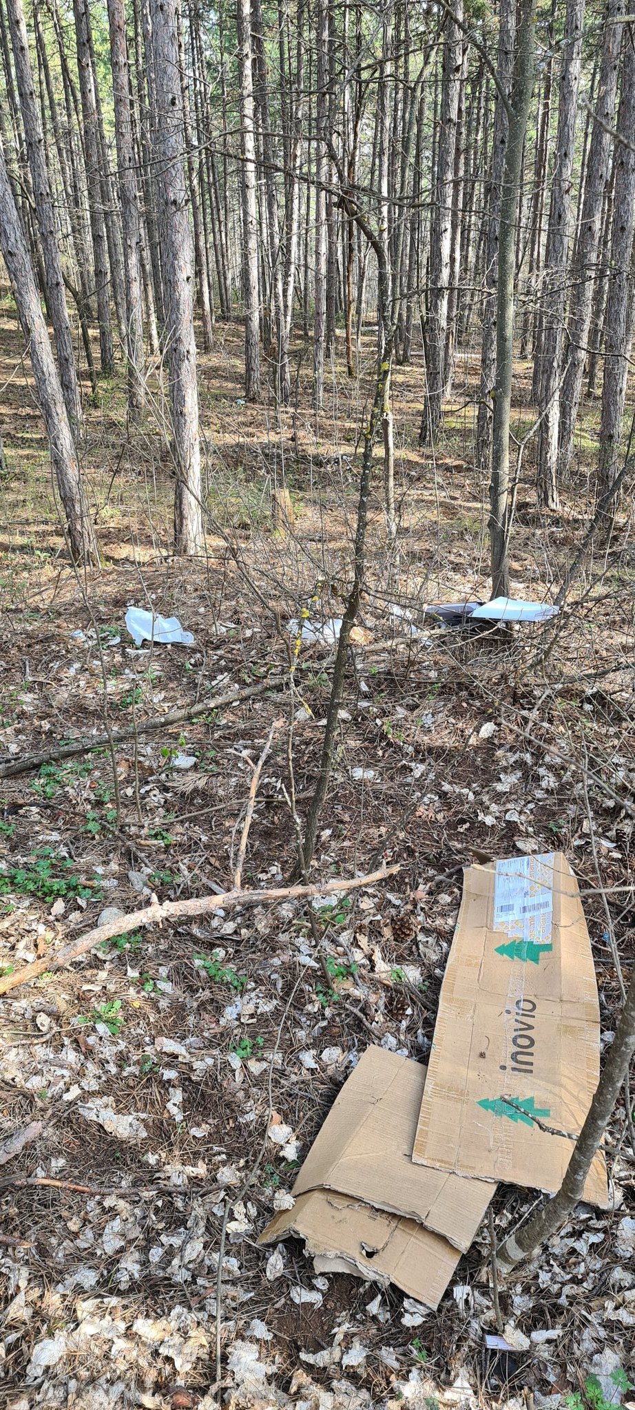 Замисли одиш на Водно и после тебе си собираш