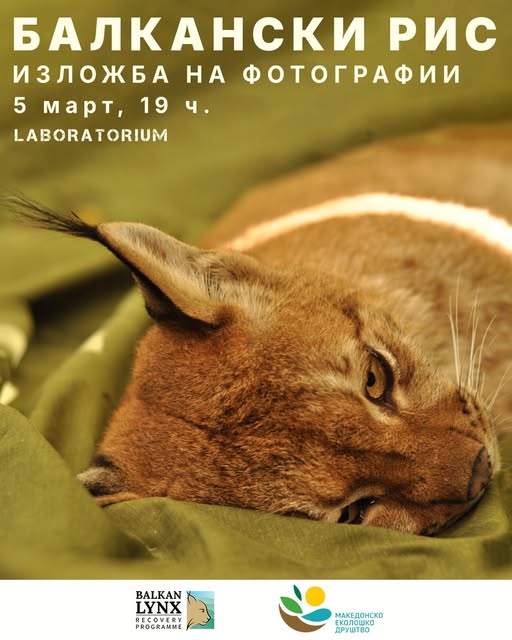 Патувачката изложба за балканскиот рис во Скопје