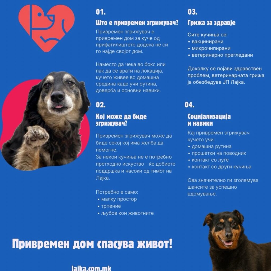 „Лајка“ со нова иницијатива за привремено згрижување на кучиња