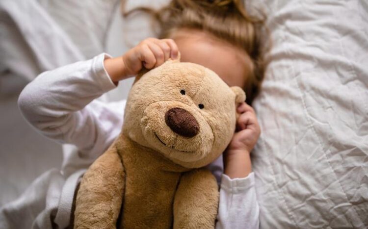 Зошто сè повеќе возрасни спијат со плишани играчки? Психолозите велат – тоа е сосема нормално